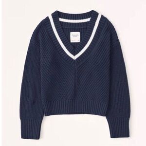 Abercrombie & Fitch Navy and White V-Neck Sweater